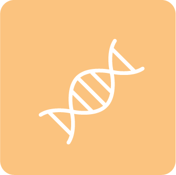 molecular-ngs-349x349-snf-cdd