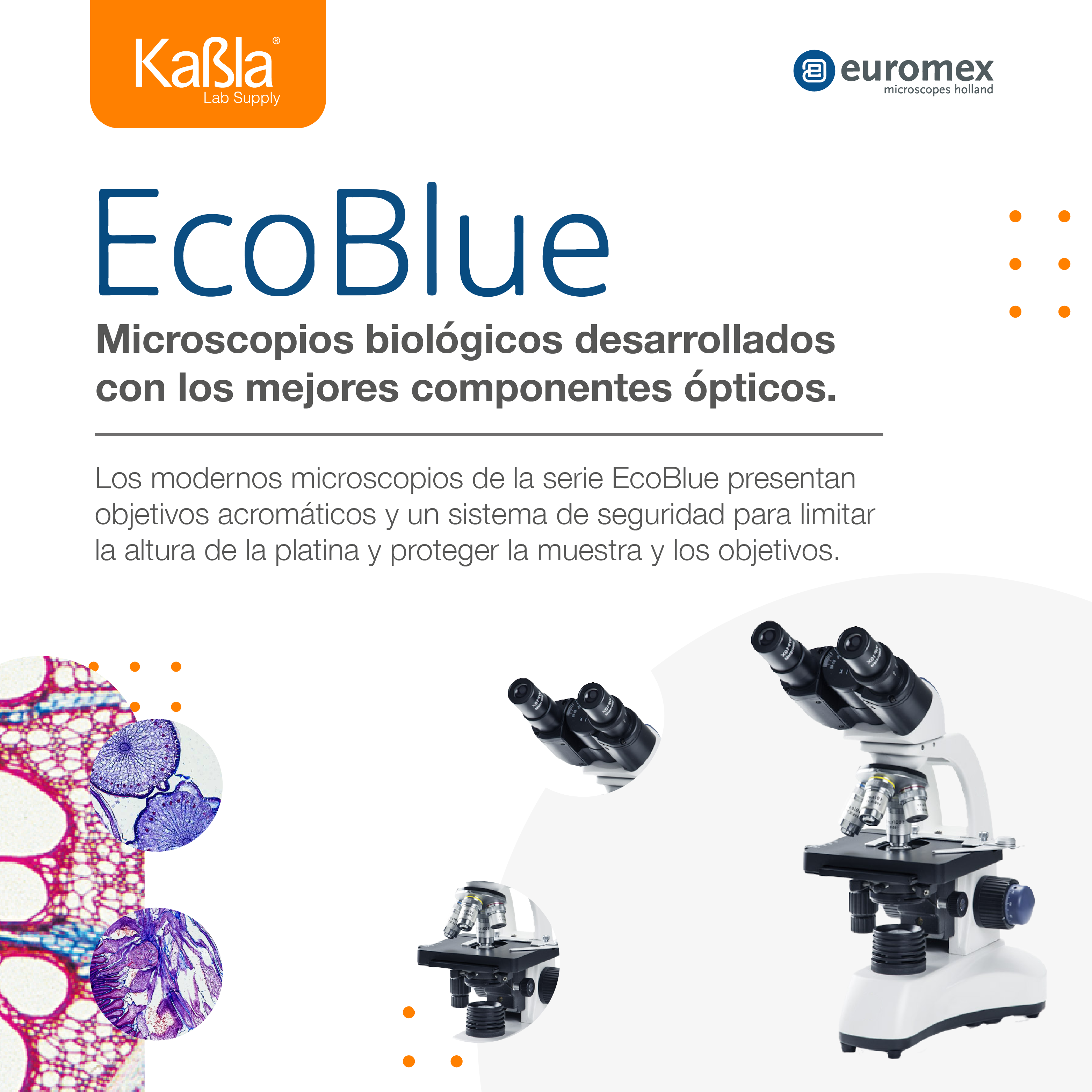 banner-web-movil-ecoblue-v4