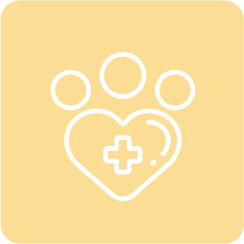 diagnostico-veterinario-349x349-cnf-cdd