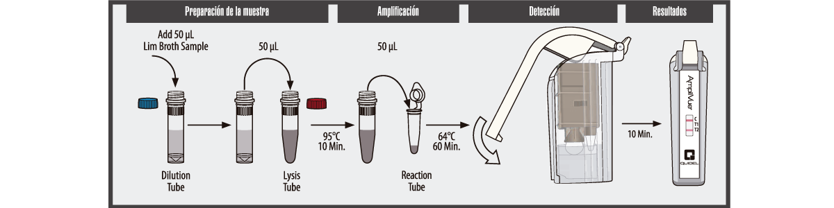 C. difficile