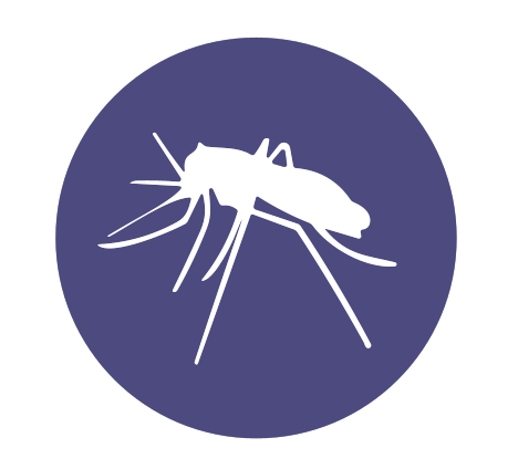 enfermedades - tropicales y transmitidas por vectores - kabla . viasure