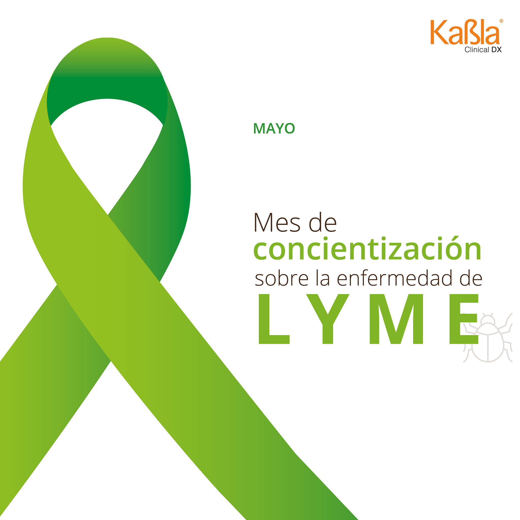kabla mayo mes de concientizacion LYME