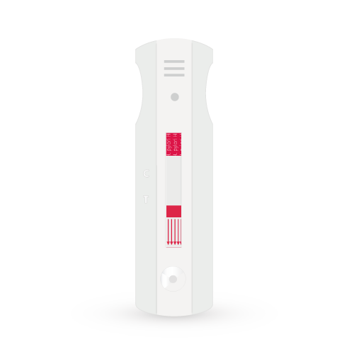 H-pylori – Instant-view