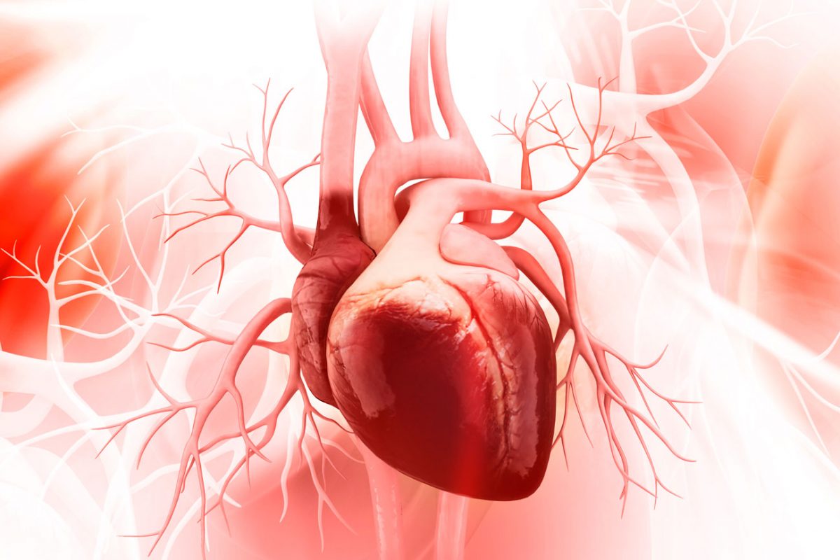 kabla diagnostico oportuno de sepsis es importante response biomedical ramp