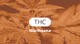 Logo THC Kabla