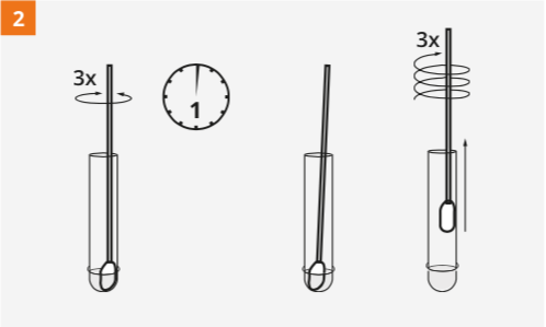 Modo de Empleo - QuickVue - 2 - Quidel
