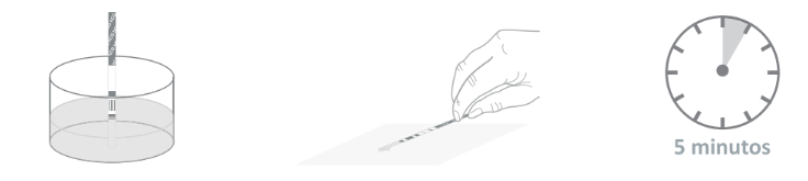 kabla modo de empleo de prueba de embarazo certum