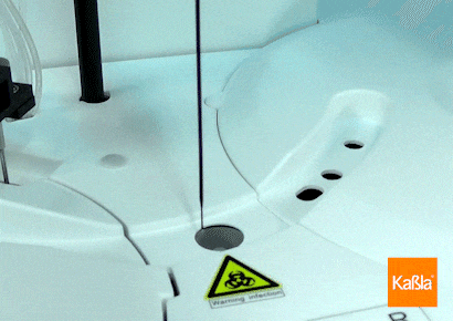gif-biossays-kabla-03