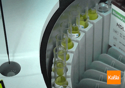 gif-biossays-kabla-04