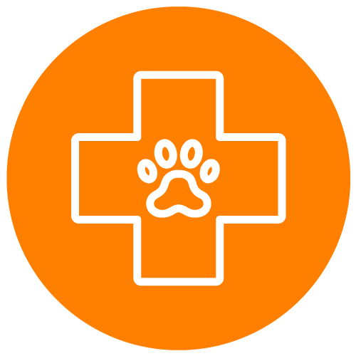 miniatura-veterinarias-500x500-areas-de-especializacion