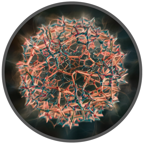 logo-Gamma-glutamitransferrasa-500x500