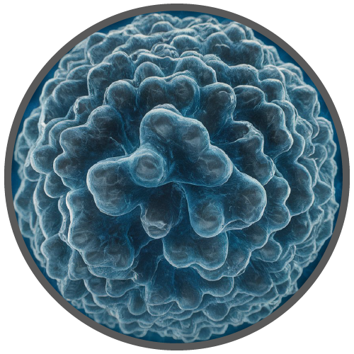 logo-microproteinas-500x500