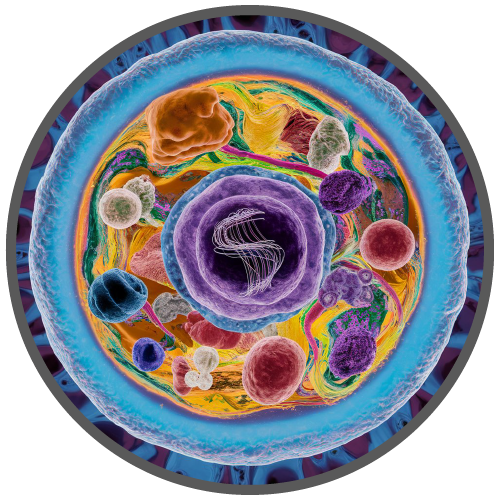 logo-proteinas-totales-500x500