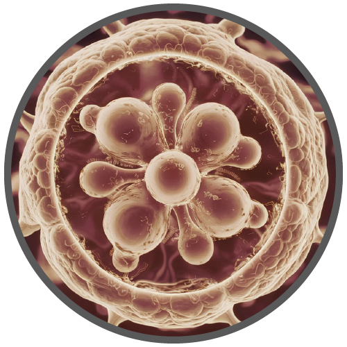 logo-trigliceridos-500x500