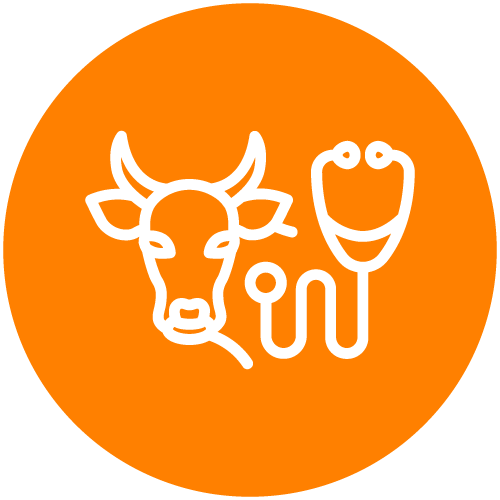 Veterinarias de animales de produccion