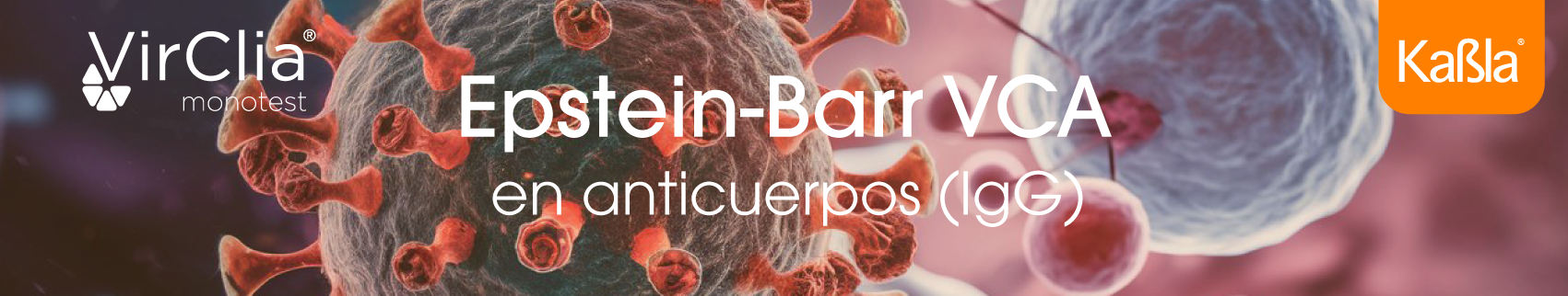 banner-inmunologia-quimioluminiscencia-epstein-barr-VCA-IgG-Virclia-Vircell-movil