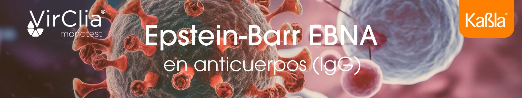 banner-inmunologia-quimioluminiscencia-epstein-barr-ebna-igg-Virclia-Vircell-movil