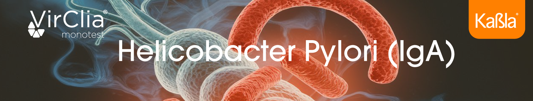 banner-inmunologia-quimioluminiscencia-helicobacter-pylori-iga-virclia-vircell-movil-en-suero-plasma-humano