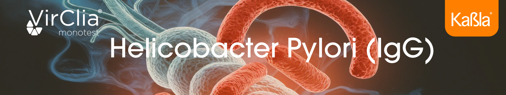 banner-inmunologia-quimioluminiscencia-helicobacter-pylori-igg-virclia-vircell-movil-en-suero-plasma-humano