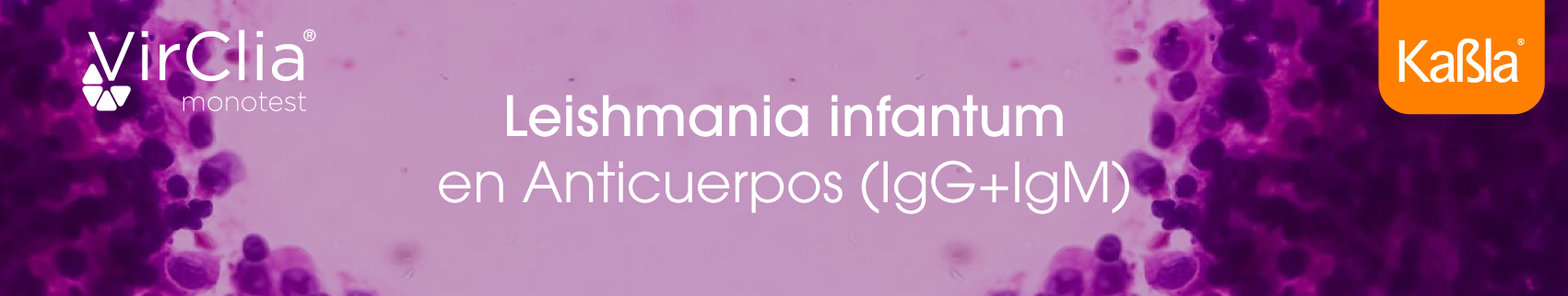 inmunologia-quimioluminiscencia-leishmania-infantum-igg-igm-vircel-virclia-monotest-banner-movil