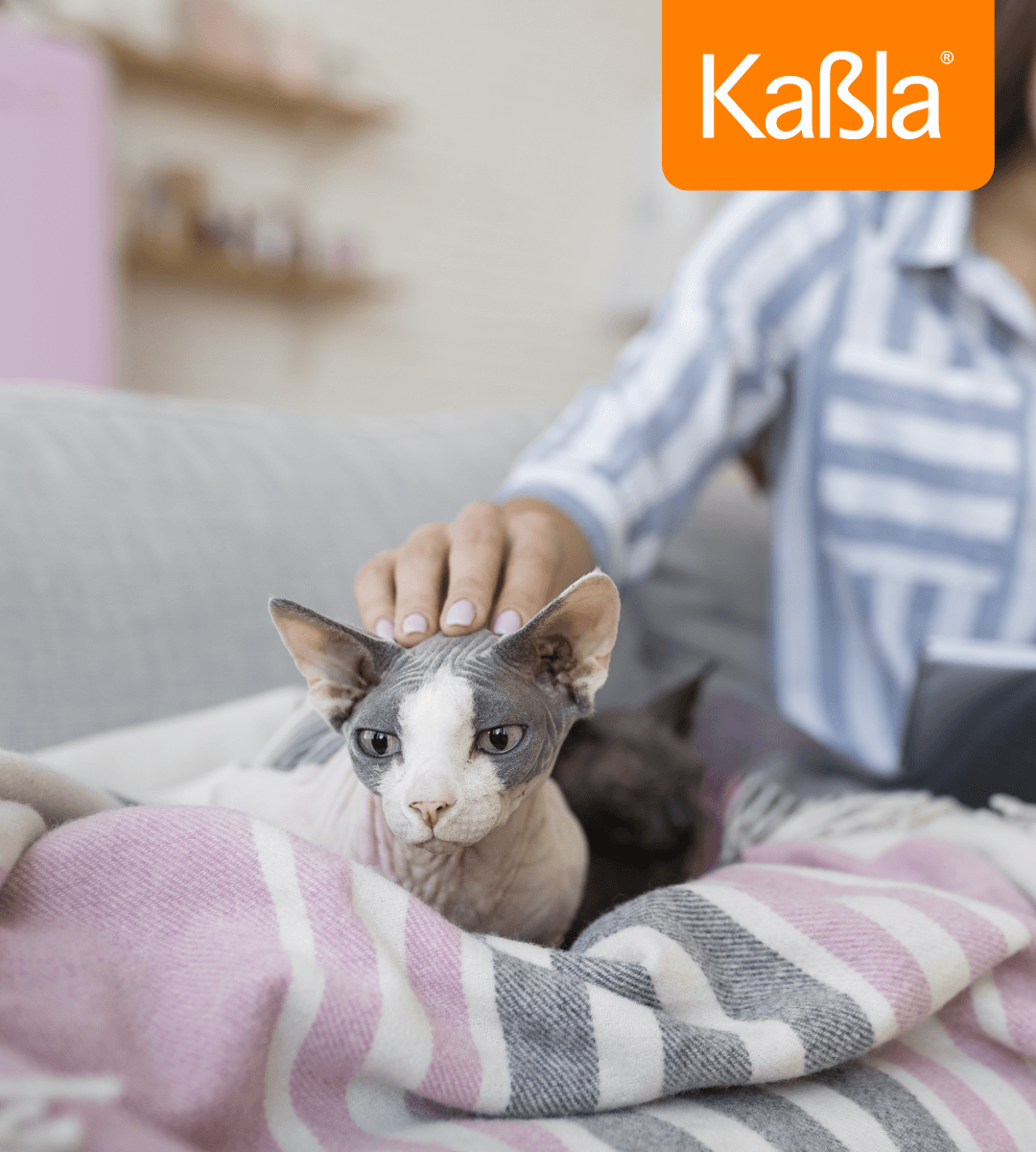 alergia-a-la-caspa-de-gato