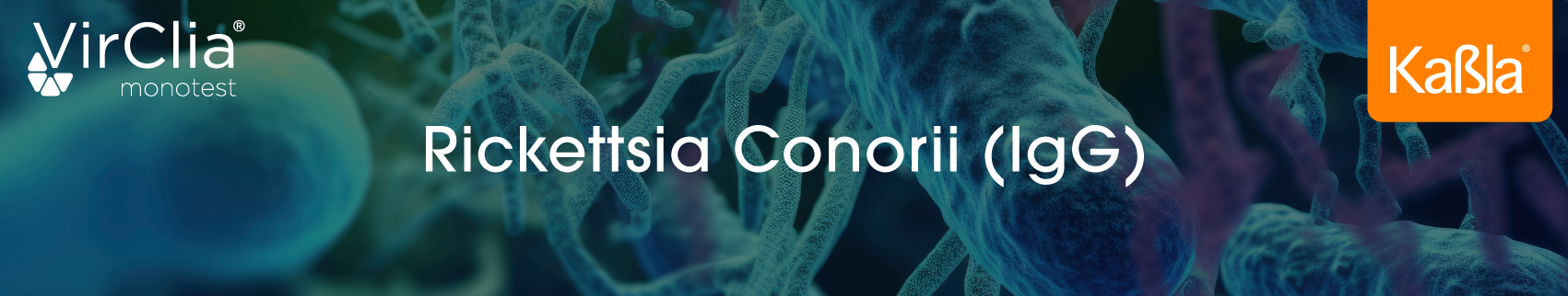 banner-web-inmunologia-quimioluminiscencia-rickettsia-conorii-igg-virclia-vircell-monotest