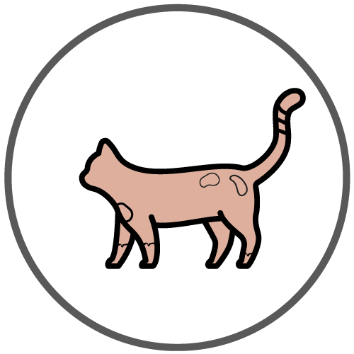 icono-prueba-de-alergia-a-la-caspa-de-gato