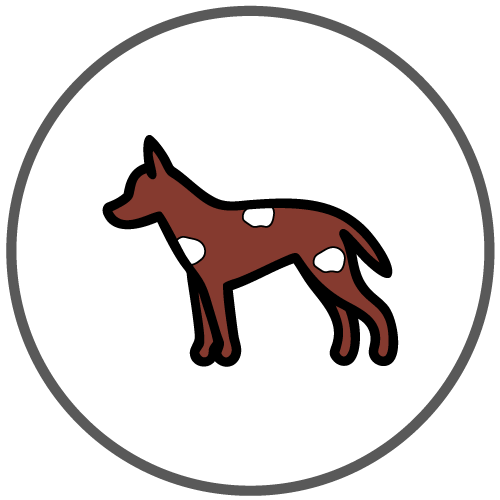 icono-prueba-de-alergia-a-la-caspa-de-perro