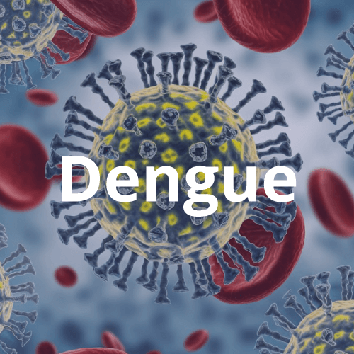 Dengue