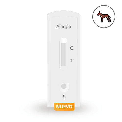 Alergia a Caspa de Perro
