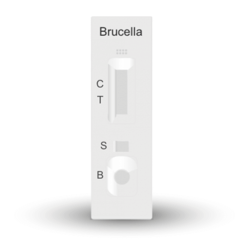Brucella Abortus Antigeno CERTUM