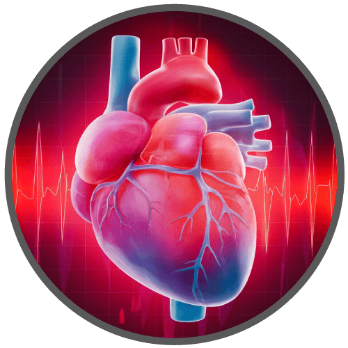 logo-cardiaco-cardiacos-cardiacas-snf-nv