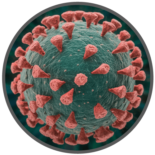 logo-enfermedades-infecciosas-snf-nv