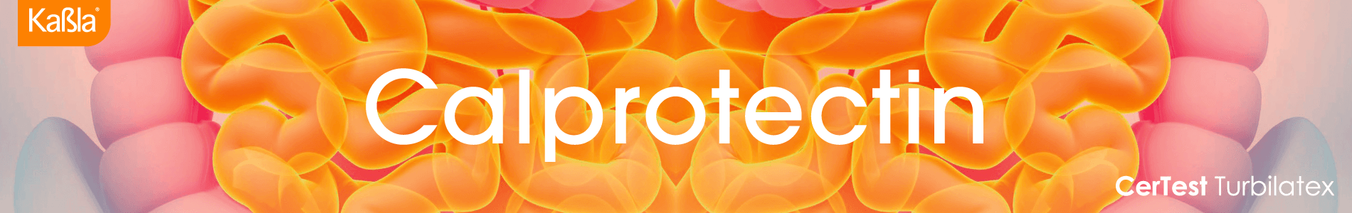 banner-bioquimica-turbidimetria-turbilatex-certest-calprotectin-web-1900x300