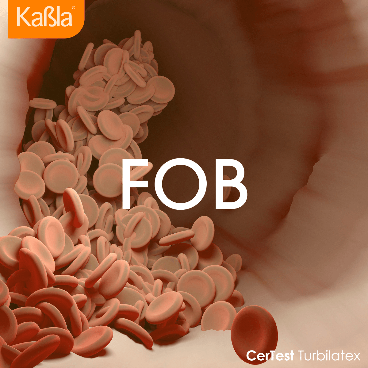 banner-bioquimica-turbidimetria-turbilatex-certest-fob-movil-1200x1200-v2