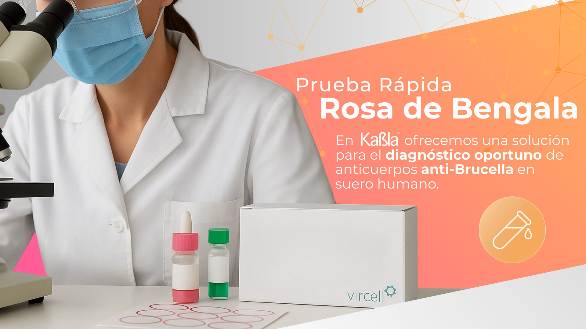 brucelosis-Vircell-Kabla