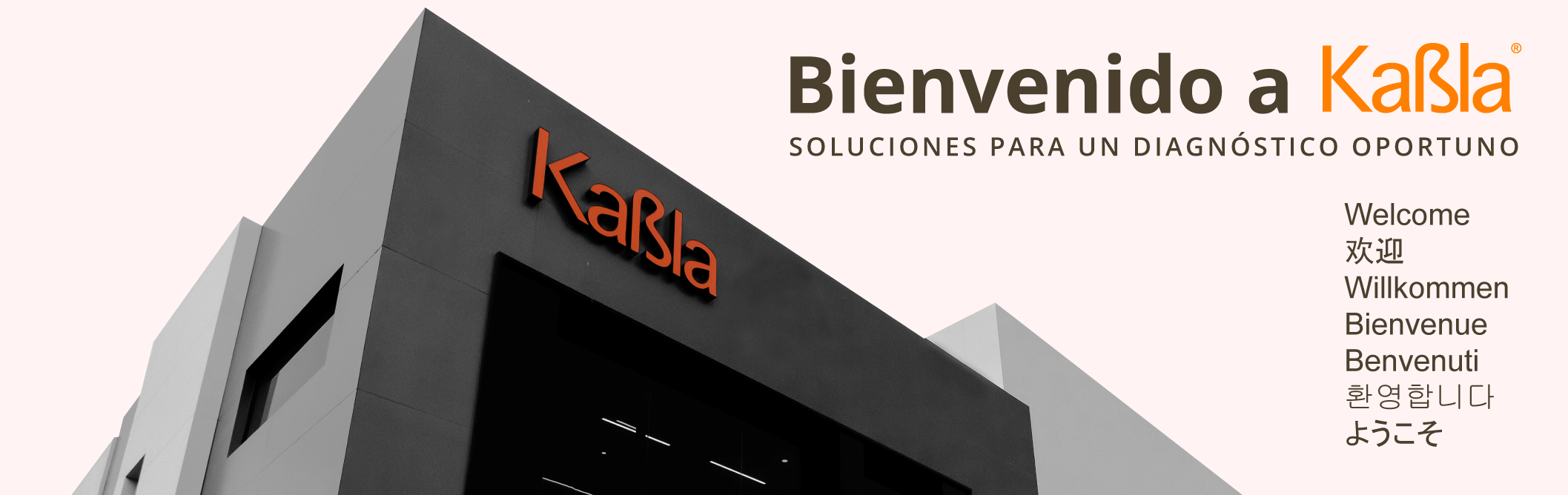 banner-img-corporativa-web-25-1