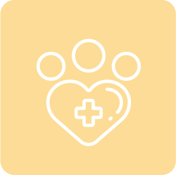 diagnostico-veterinario-349x349-snf-cdd