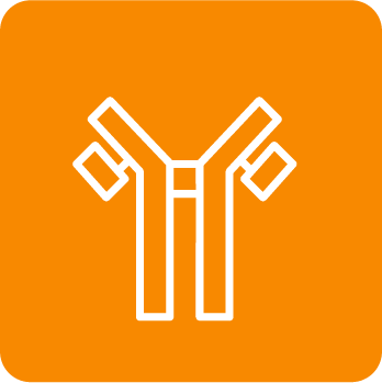 inmunoensayo-349x349-snf-cdd