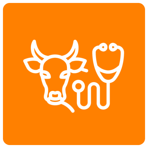 icono-cuadrado-500x500-veterinarias-especializadas