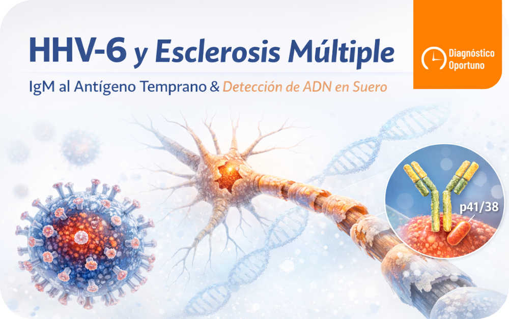 HHV-6 y Esclerosis Múltiple: qué muestra la evidencia (IgM p41/38 y ADN en suero)