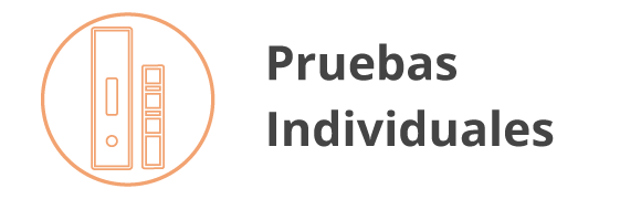 Categoria 17