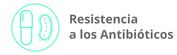 Categoria 10
