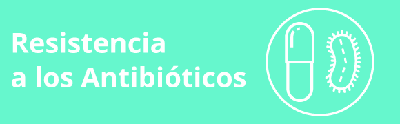Categoria 10 Hover