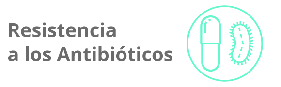 Categoria 10