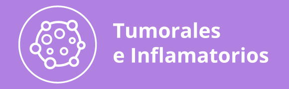 Categoria 6 Hover