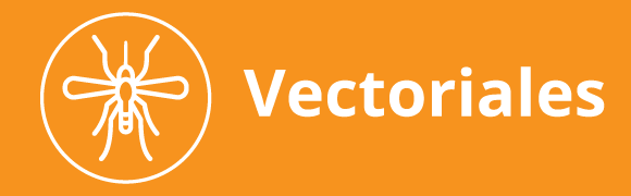 Categoria 8 Hover