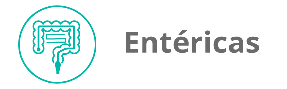 Categoria 9