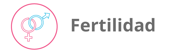 Categoria 7