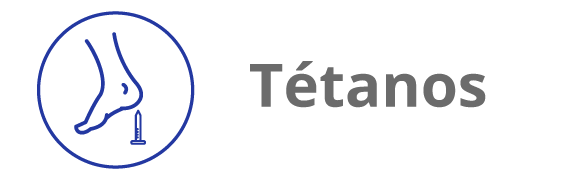 Categoria 12